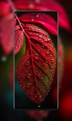 Vivo V30 Pro 5G Wallpaper android App screenshot 1